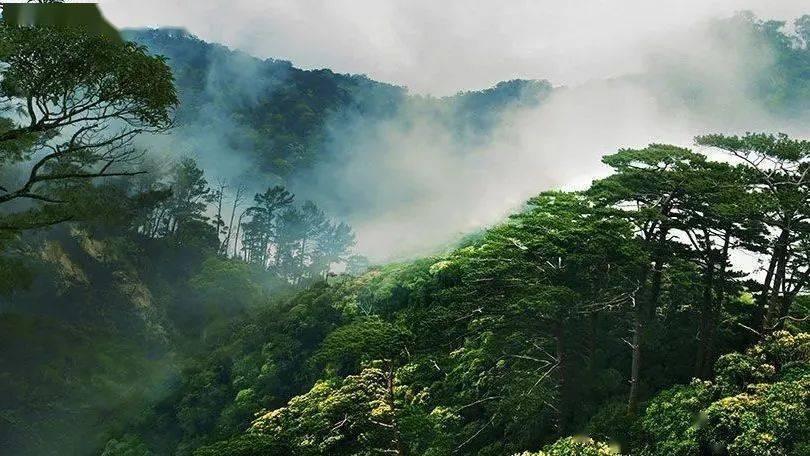 探索万物,一问一答——唐诗三百首【精校版】怎么样蜗牛问答平台
